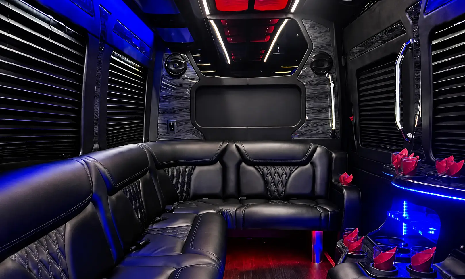 14 Pax Sprinter Party Bus