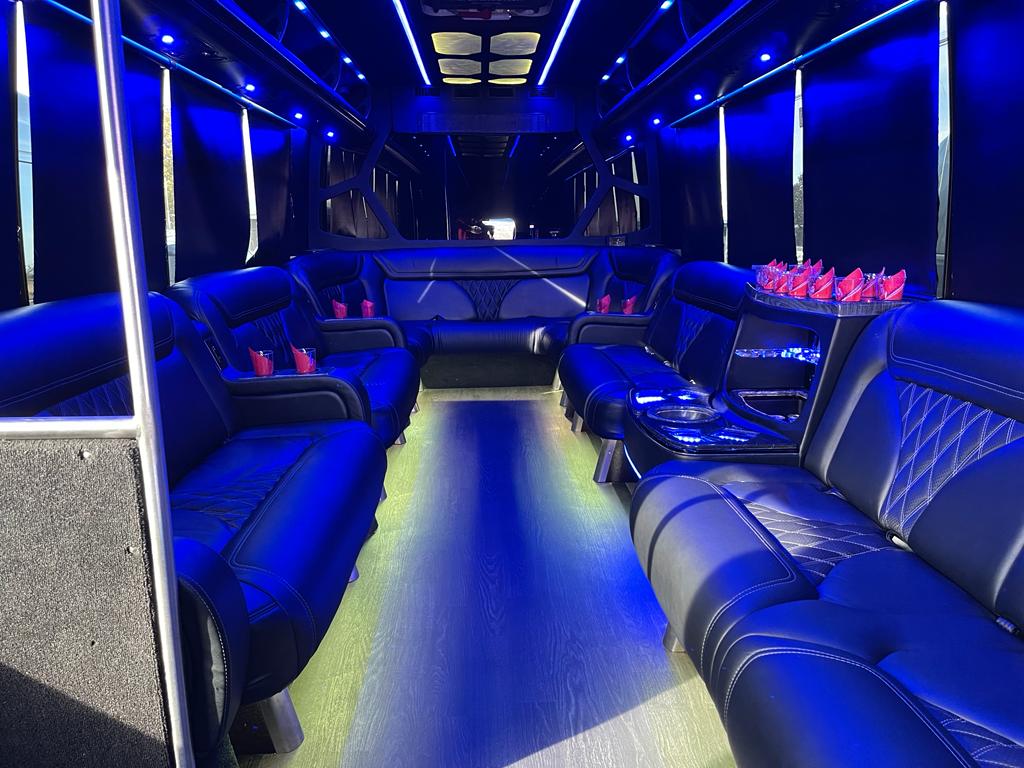 18-Passenger Party Bus