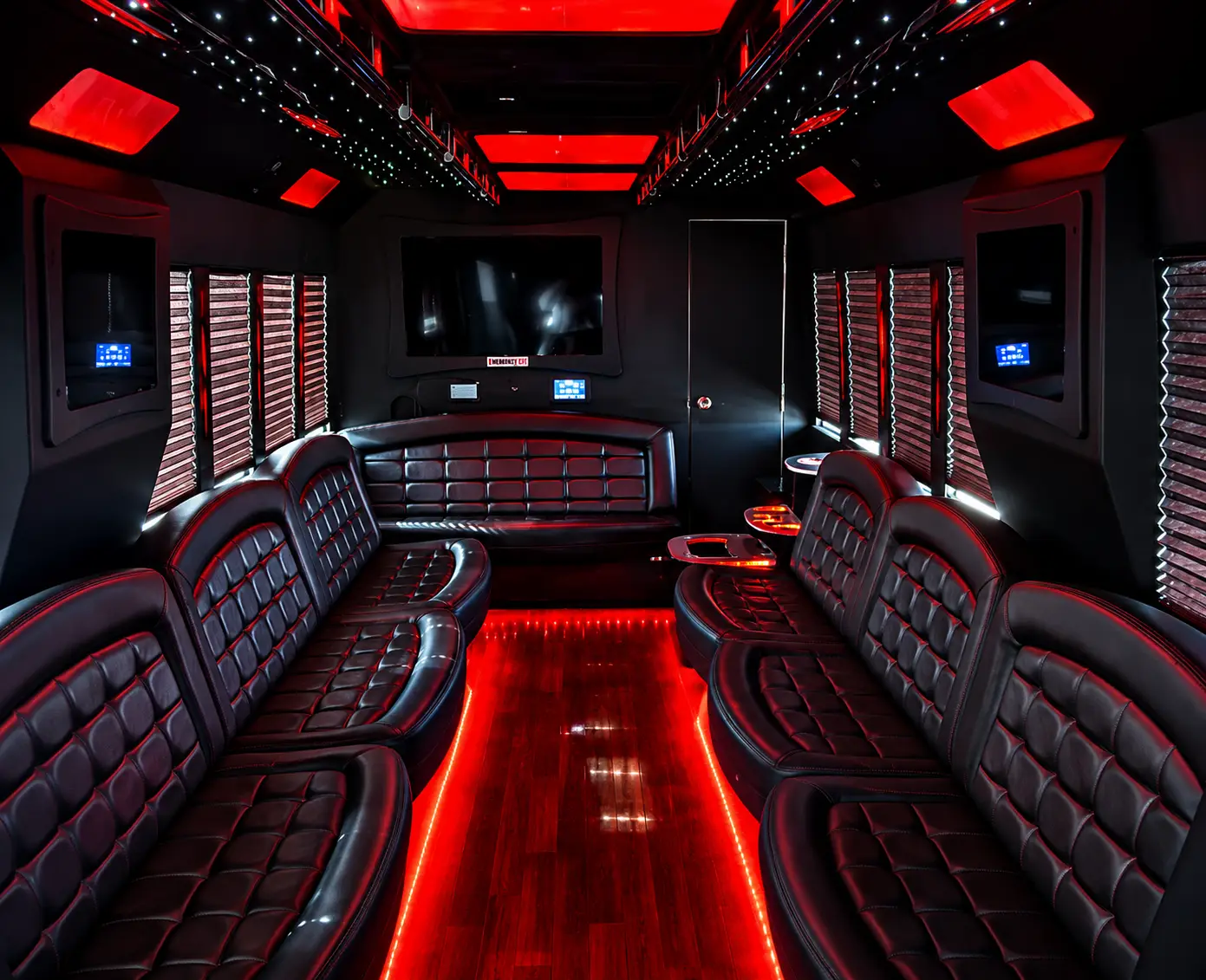 30-Passenger Party Bus (1)