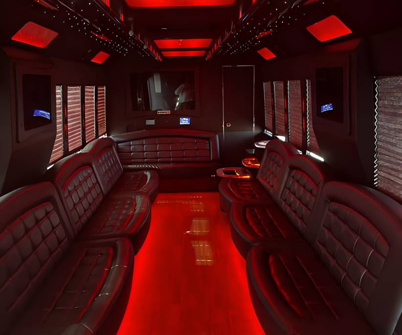 30-Passenger Party Bus
